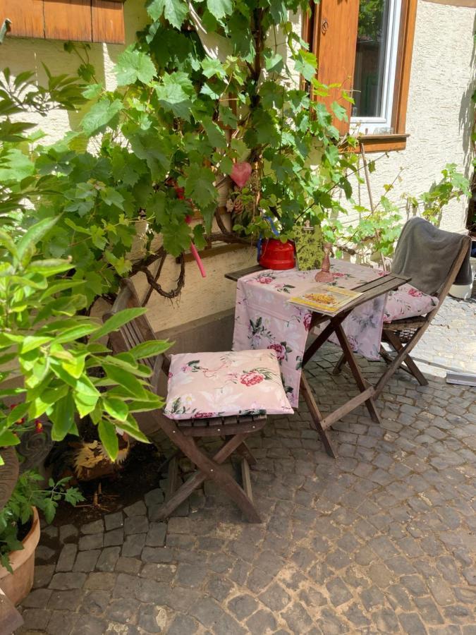 Tante Berg B&B Bad Vilbel Exterior foto