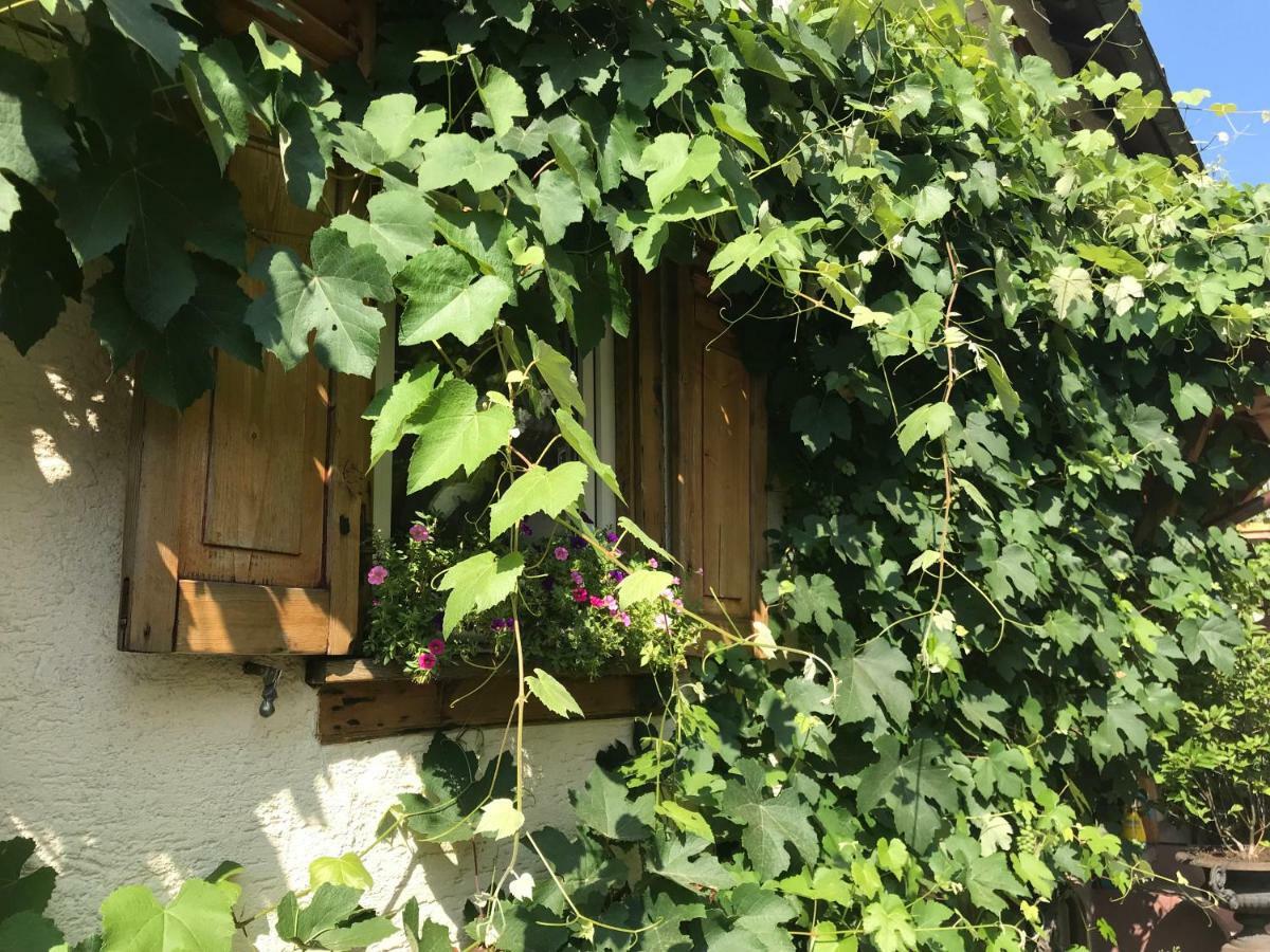 Tante Berg B&B Bad Vilbel Exterior foto